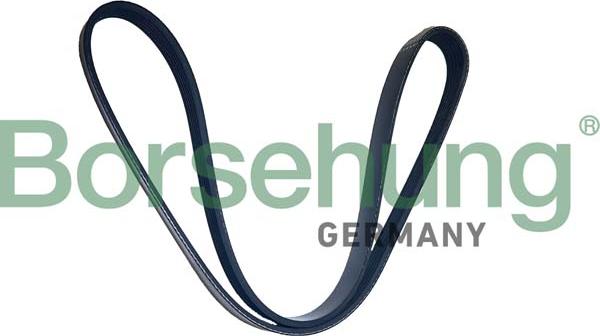 Borsehung B12505 - Поліклиновий ремінь autozip.com.ua