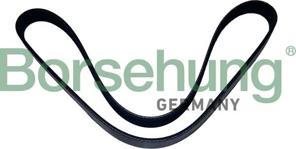 Borsehung B12502 - Поліклиновий ремінь autozip.com.ua