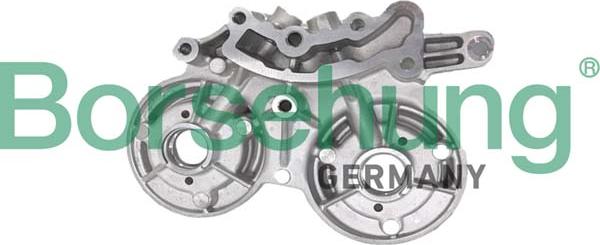 Borsehung B12670 - Підшипник распредвала autozip.com.ua
