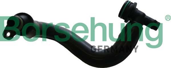 Borsehung B12306 - Шланг, вентиляція картера autozip.com.ua