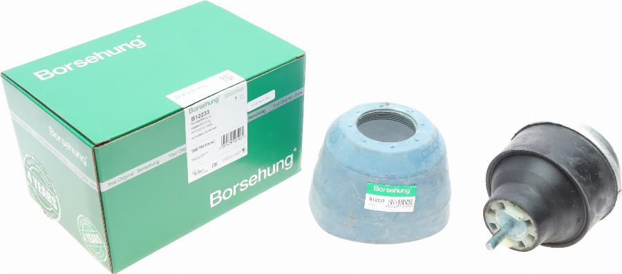 Borsehung B12233 - Подушка, підвіска двигуна autozip.com.ua