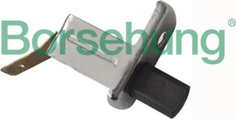 Borsehung B17995 - Вимикач, контакт двері autozip.com.ua