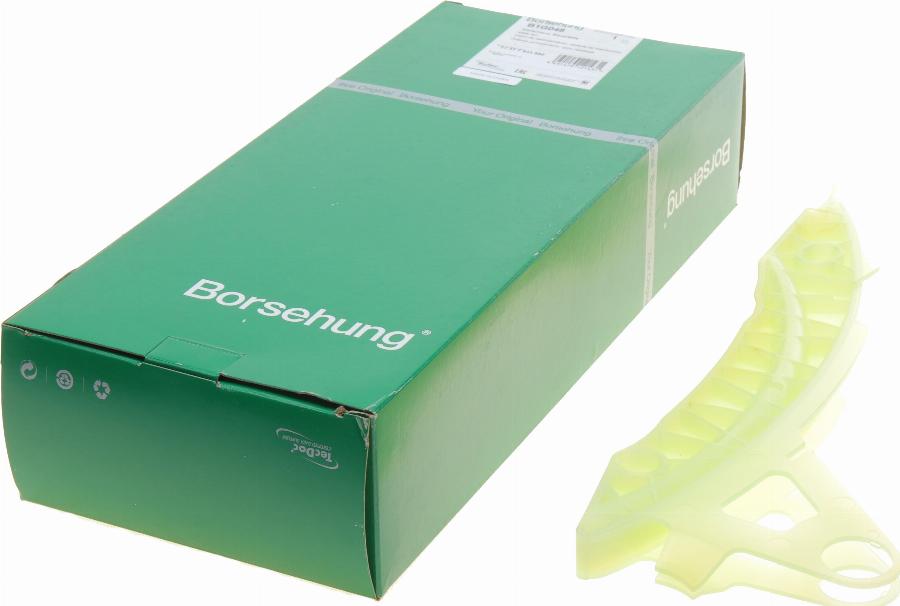 Borsehung B1G048 - Планка заспокоювача, ланцюг приводу autozip.com.ua