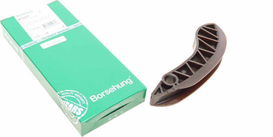 Borsehung B1G031 - Планка заспокоювача, ланцюг приводу autozip.com.ua