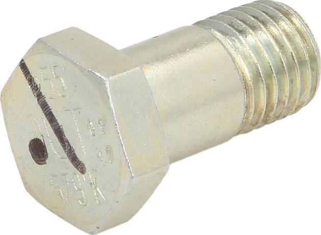 BOSCH F 002 D13 579 - Болт autozip.com.ua