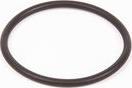 BOSCH F 00R 0P0 166 - Гумове кільце autozip.com.ua
