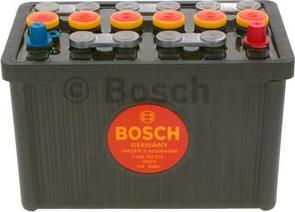 BOSCH F 026 T02 314 - Стартерна акумуляторна батарея, АКБ autozip.com.ua