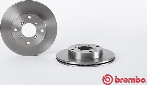 Brembo 09.6905.10 - Гальмівний диск autozip.com.ua