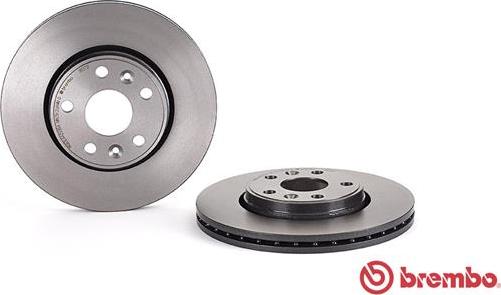 Brembo 09.8137.31 - Гальмівний диск autozip.com.ua