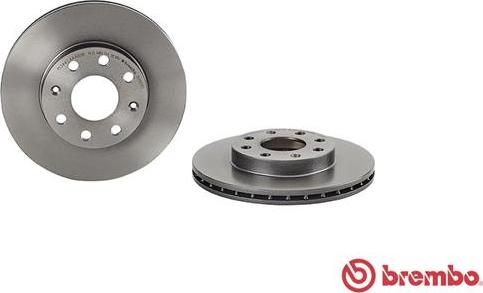 Brembo 09.3090.21 - Гальмівний диск autozip.com.ua