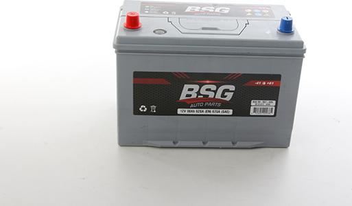 BSG BSG 99-997-029 - Стартерна акумуляторна батарея, АКБ autozip.com.ua