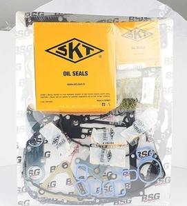 BSG BSG 30-115-004 - Комплект прокладок, двигун autozip.com.ua