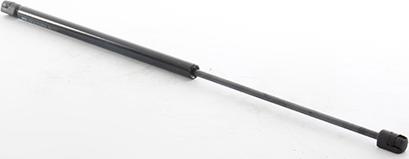 BSG BSG 25-980-014 - Газова пружина, кришка багажник autozip.com.ua