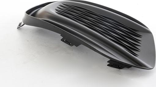 BSG BSG 25-921-005 - Облицювання, бампер autozip.com.ua