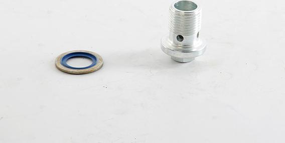 BSG BSG 25-230-001 - Різьбова пробка, масляний піддон autozip.com.ua