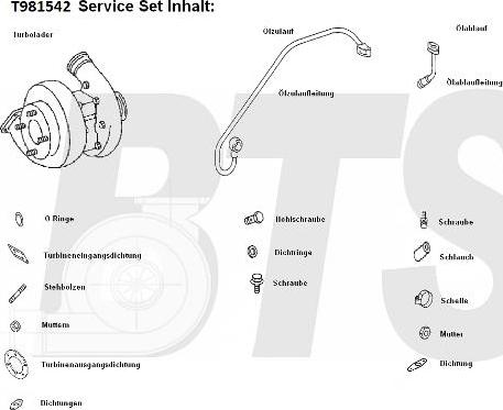 BTS Turbo T981542 - Компресор, наддув autozip.com.ua