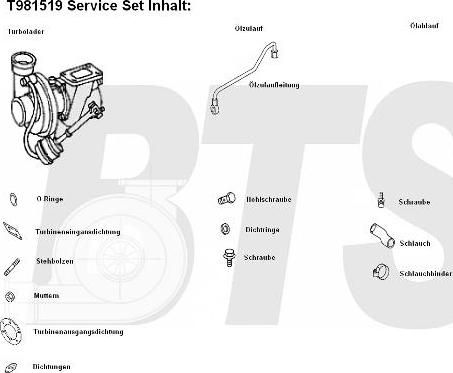 BTS Turbo T981519 - Компресор, наддув autozip.com.ua