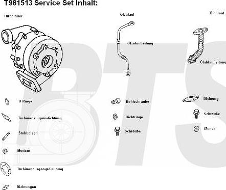 BTS Turbo T981513 - Компресор, наддув autozip.com.ua