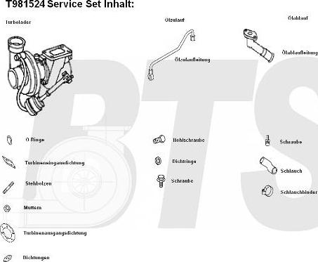 BTS Turbo T981524 - Компресор, наддув autozip.com.ua