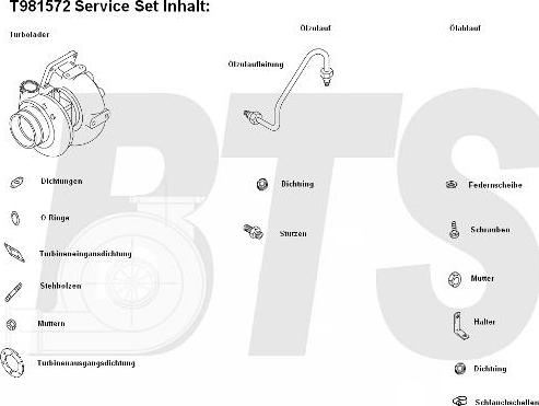 BTS Turbo T981572 - Компресор, наддув autozip.com.ua