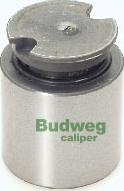 Budweg Caliper 233841 - Поршень, корпус скоби гальма autozip.com.ua