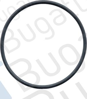 Bugatti PA6007 - Водяний насос autozip.com.ua