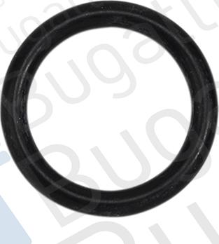 Bugatti PA10099 - Водяний насос autozip.com.ua