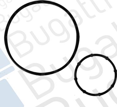 Bugatti PA10150 - Водяний насос autozip.com.ua