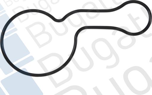 Bugatti PA10129 - Водяний насос autozip.com.ua