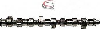 Campro CP10204 - Шток autozip.com.ua
