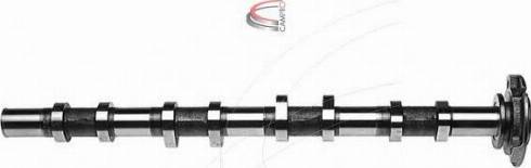 Campro CP11120 - Шток autozip.com.ua