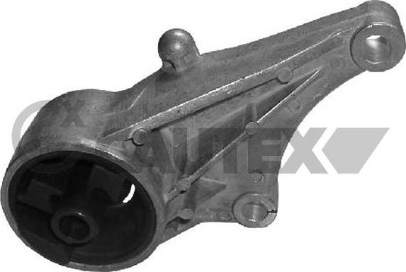 Cautex 480477 - Подушка, підвіска двигуна autozip.com.ua
