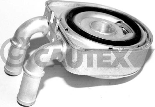 Cautex 031435 - Масляний радіатор, рухове масло autozip.com.ua