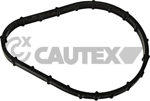 Cautex 769250 - Прокладка, термостат autozip.com.ua