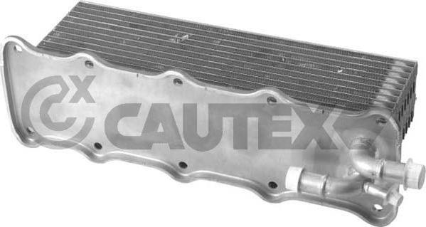 Cautex 760765 - Интеркулер autozip.com.ua