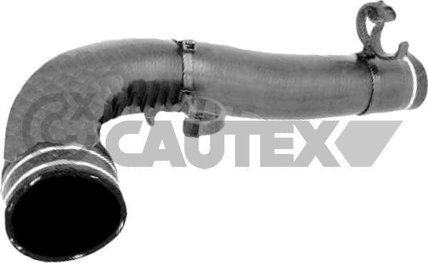 Cautex 767072 - Шланг радіатора autozip.com.ua
