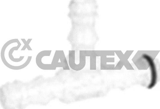 Cautex 767161 - Адаптер, водяний насос омивача autozip.com.ua