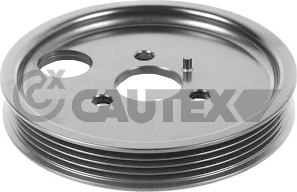 Cautex 770176 - Ремінний шків, насос гідропідсилювача autozip.com.ua
