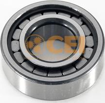 C.E.I. 530165 - Підшипник autozip.com.ua