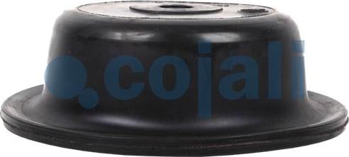 Cojali 6001109 - Мембрана, циліндр пружинного енерго-акумулятора autozip.com.ua