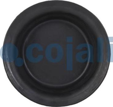 Cojali 6001113 - Мембрана, циліндр пружинного енерго-акумулятора autozip.com.ua