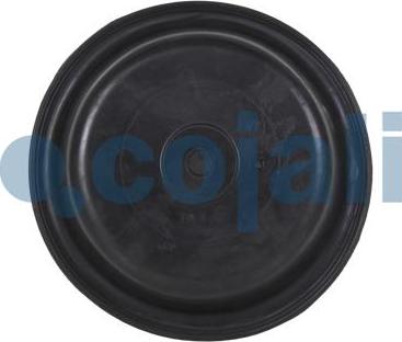 Cojali 6001123 - Мембрана, циліндр пружинного енерго-акумулятора autozip.com.ua
