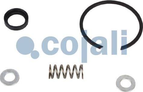 Cojali 6012293 - Ремкомплект autozip.com.ua