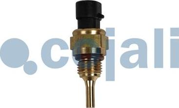 Cojali 2262054 - Датчик, температура охолоджуючої рідини autozip.com.ua