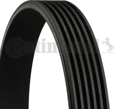 CONTINENTAL 6PK2275 - Поліклиновий ремінь autozip.com.ua