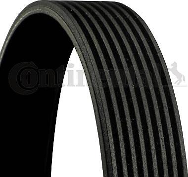 CONTINENTAL 8PK1535 - Поліклиновий ремінь autozip.com.ua