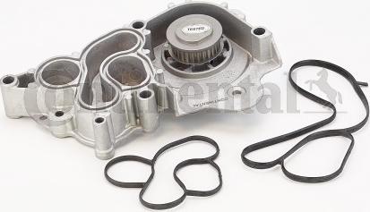 CONTINENTAL WP6094 - Водяний насос autozip.com.ua