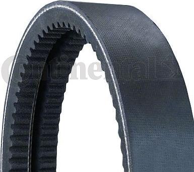 CONTINENTAL 2/AVX13X1450 - Многокліновой ремінь autozip.com.ua