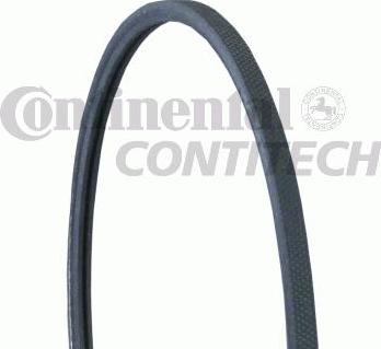 CONTINENTAL 2PJ800 - Поліклиновий ремінь autozip.com.ua