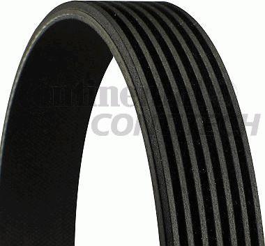 CONTINENTAL 7PK1538 - Поліклиновий ремінь autozip.com.ua